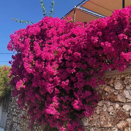 Holiday home Konstantinas House, A Touch Of Nature & Sea *
