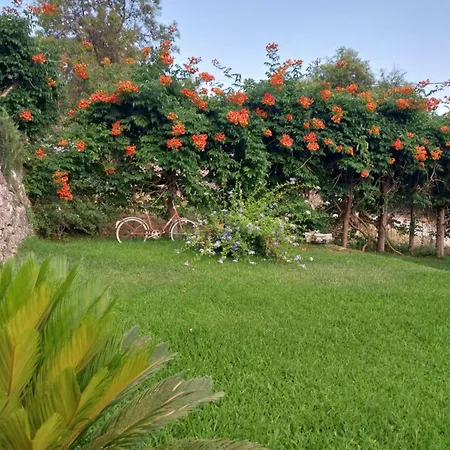 Konstantinas House, A Touch Of Nature & Sea * Ferendinata